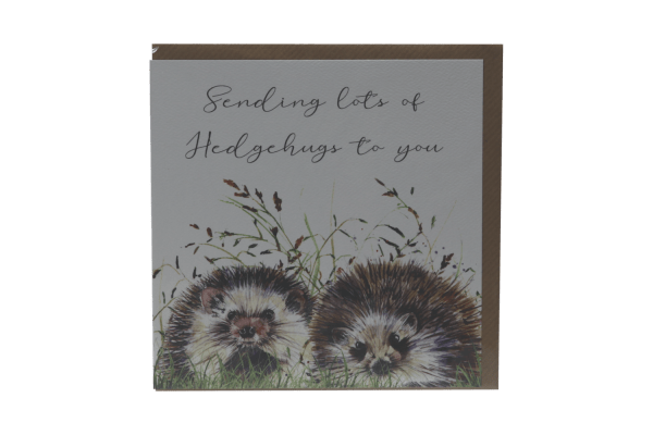 Hedgehugs Card