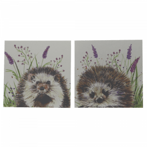 Hedgehog Coaster Set