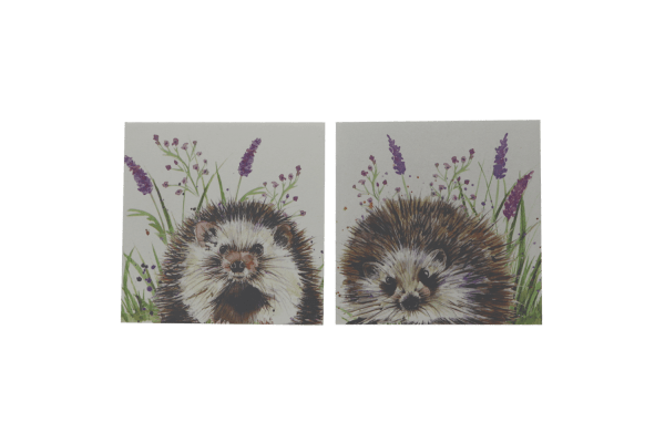 Hedgehog Coaster Set